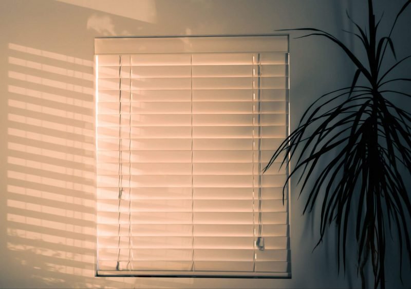 Tips To Get The Best Window Blinds For Your Budget