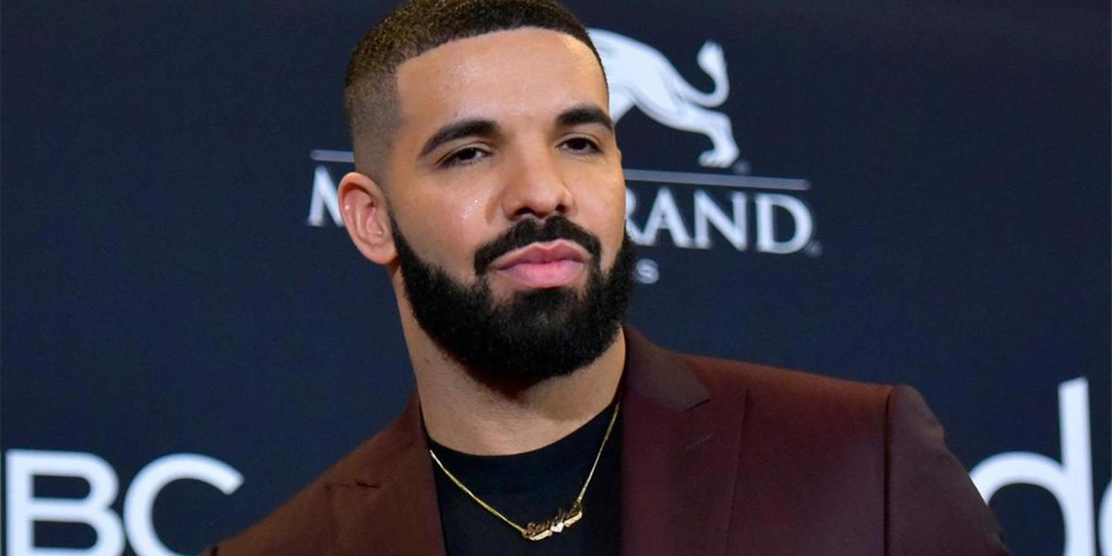 Drake Net Worth, How Much Is Drake Worth Piethis