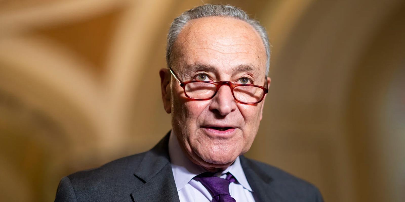 Chuck Schumer’s Net Worth, How Much Is Chuck Schumer’s Worth - Piethis