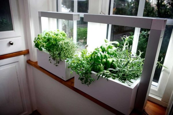 Herbal Indoor Greenhouse