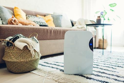 Know the importance of investing in a good quality home dehumidifier