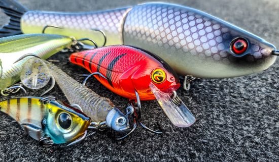 Best Winter Bass Lures