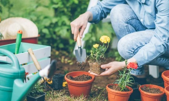Top 10 Gardening Tools Every Gardener Should Own
