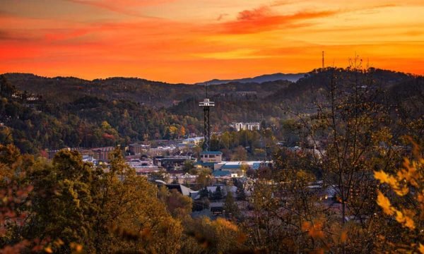4 Reasons Why You Should Consider Moving to Tennessee