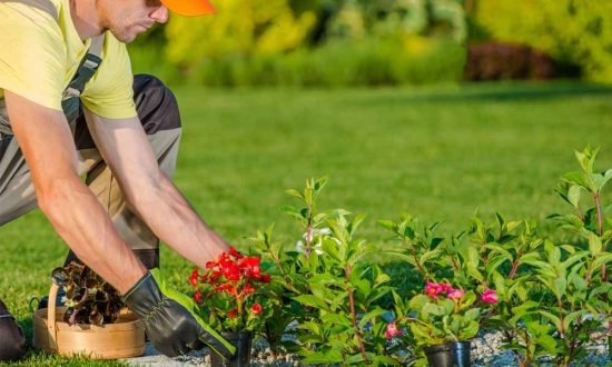 Gardeners vs Landscapers