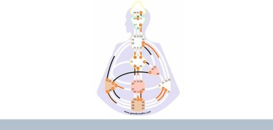 Various Types of Human Designs