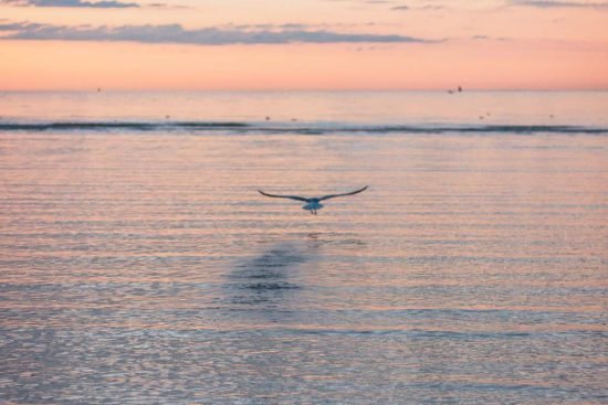 Exploring the Benefits of Living by the Coast