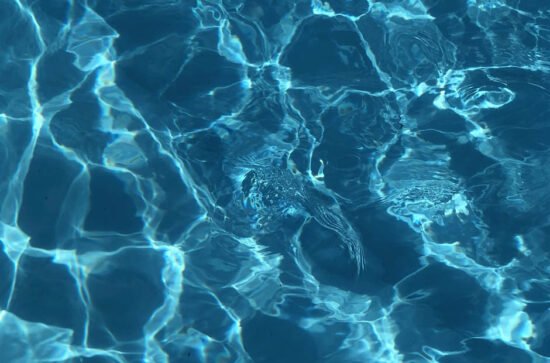 Top Pool Maintenance Tips Every Pool Owner Should Know