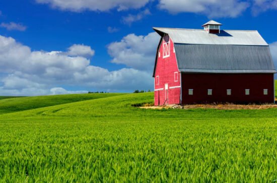 Utilising Barns for Crop Processing and Storage